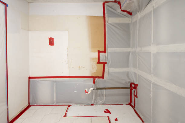 Best Comprehensive Air Testing for Mold Contaminants  in Bellport, NY