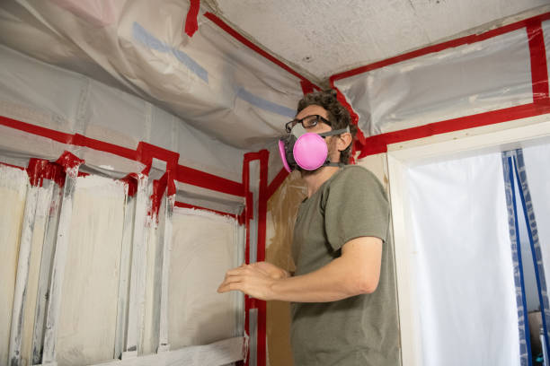 Mold Remediation for Vacation Homes in Bellport, NY